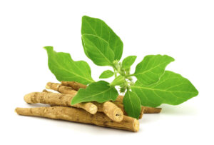 Read more about the article Ashwagandha: Unveiling the Benefits of Nature’s Powerful Herb